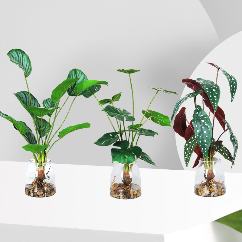 Недавно разработанные горячие продажи высококачественные оптовые искусственные горшечные растения искусственные зеленые декоративные